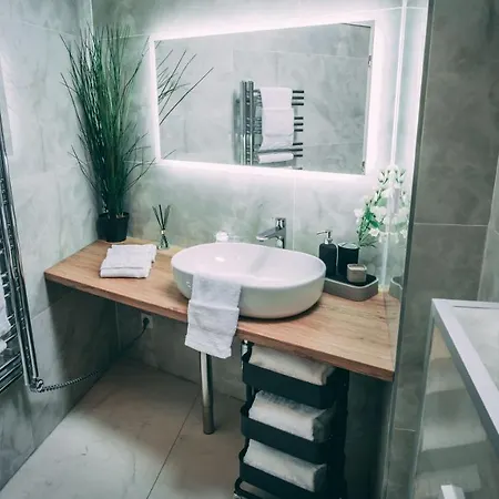 Luxury Oasis, Sauna, Ac And Free Parking 公寓 布尔诺