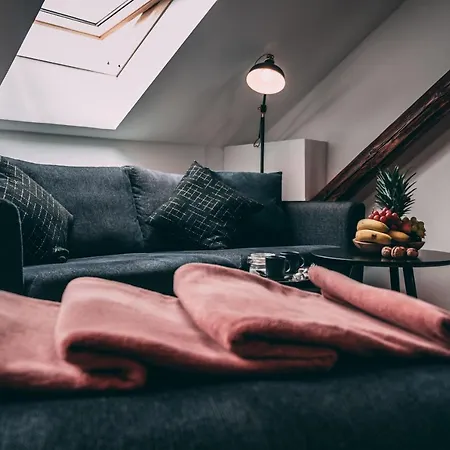Apartment Luxury Oasis, Sauna, Ac And Free Parking Brno