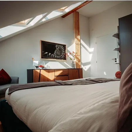 Apartment Luxury Oasis, Sauna, Ac And Free Parking