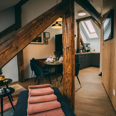 Apartment Luxury Oasis, Sauna, Ac And Free Parking Brno